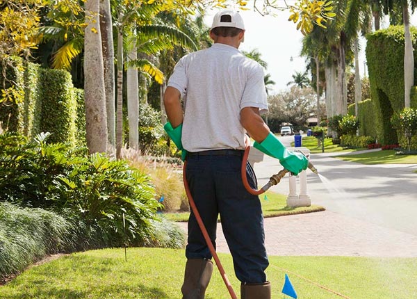 About Frenchboro ME Pest Control